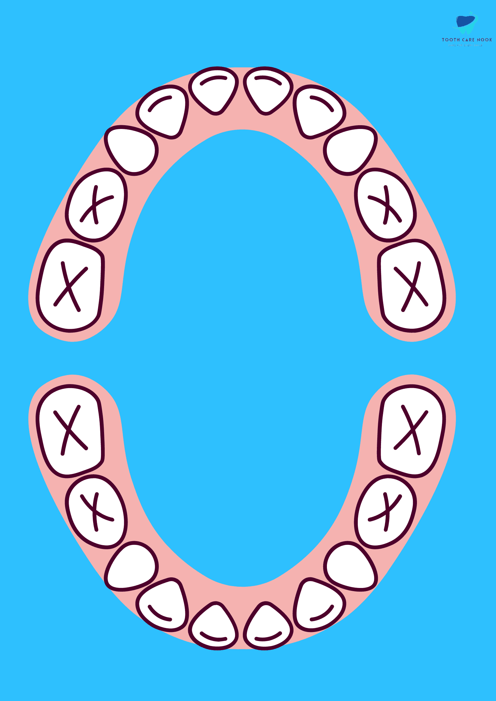 Deciduous teeth