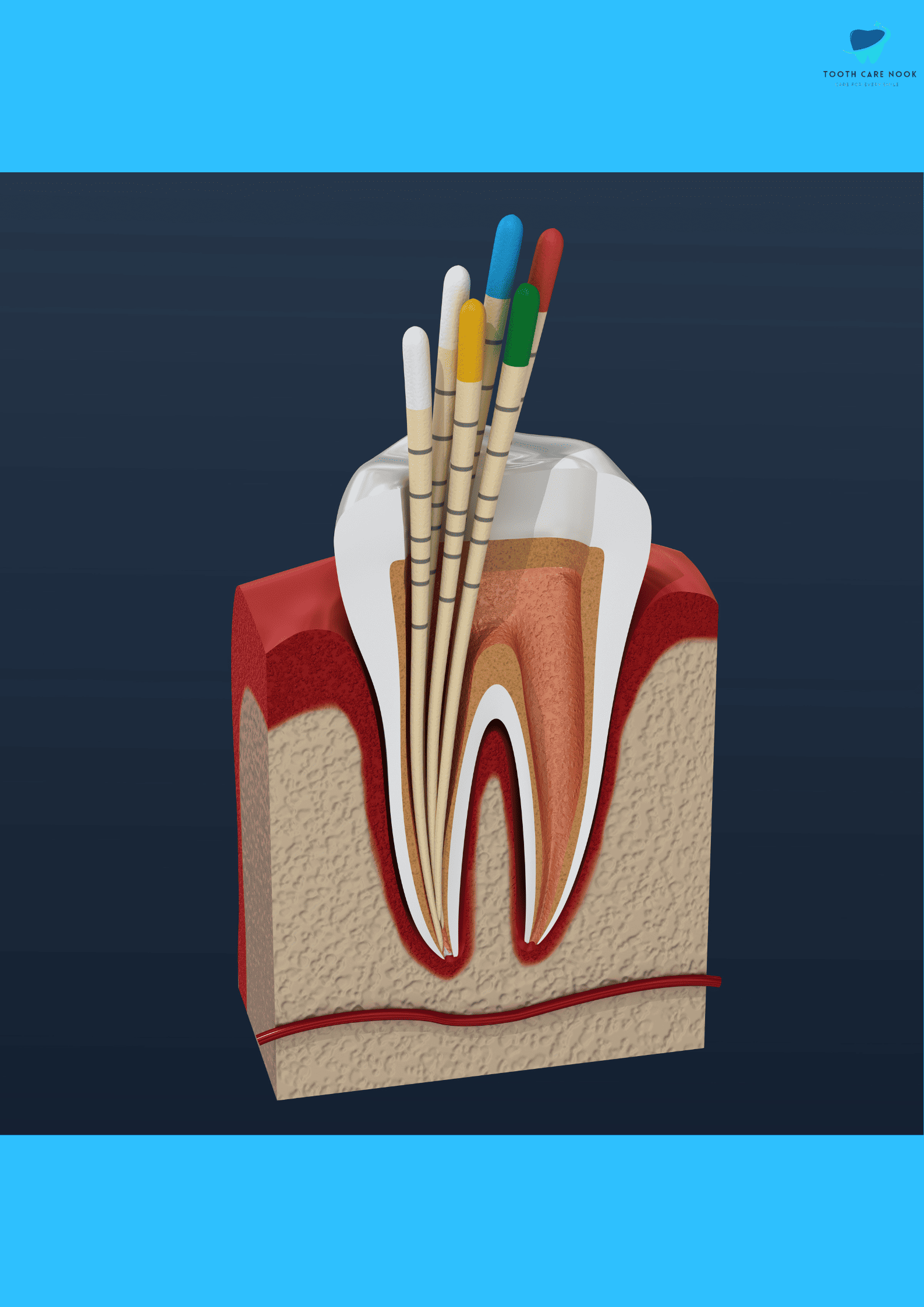 Dental Dentin