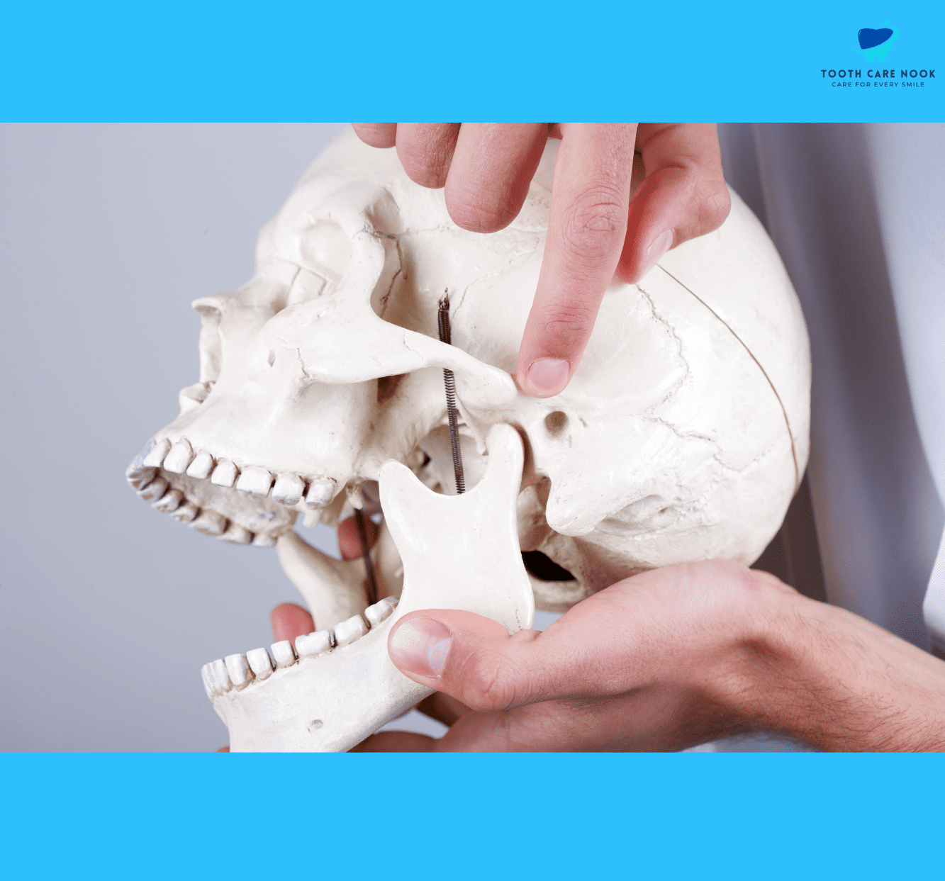 Temporomandibular Joint