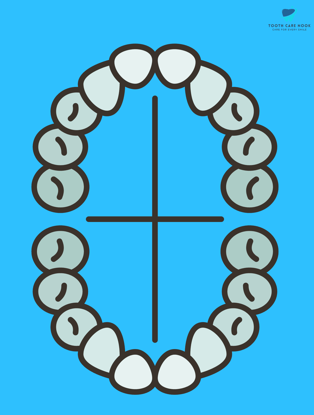 Universal Numbering System