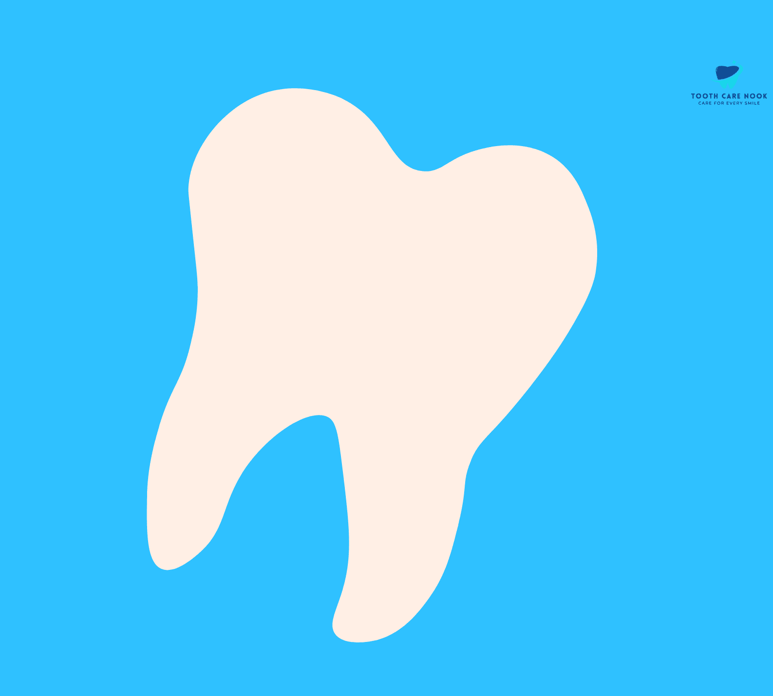 Apical Foramen
