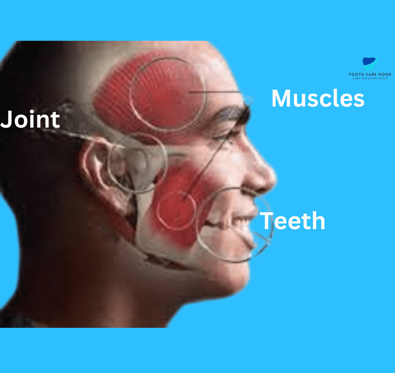 Neuromuscular dentistry